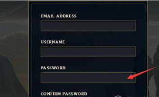 How to Fill in the Confirm Password Field 4