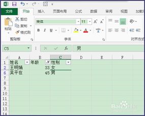 掌握Excel表格筛选技巧，轻松处理数据！ 4