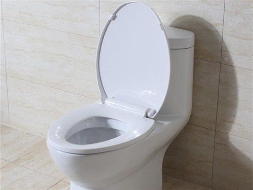 抽水马桶堵了怎么办，简易疏通方法有哪些？ 2