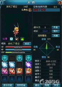 《九天仙梦》宠物养成秘籍：解锁未绑定BB的称霸之道 3