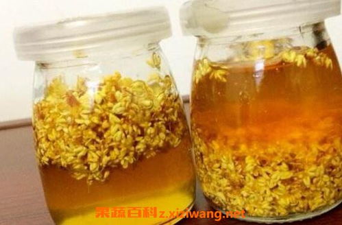 桂花蜜的神奇功效与多重作用解析 3