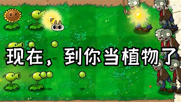 植物大战僵尸游戏繁琐版 1