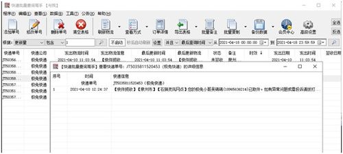 一键揭秘！如何轻松追踪极兔快递单号，物流信息尽在掌握 2