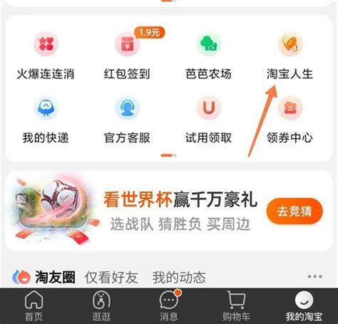 如何查阅淘宝个人成就与账单记录 2