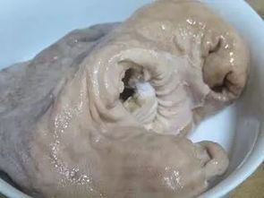 轻松学会！完美清洗猪肚的小妙招 1
