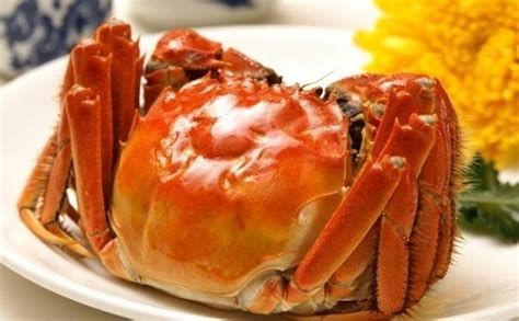 螃蟹的正确吃法及可食用部位是哪些？ 3