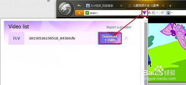 轻松学会：如何下载网站上的FLV视频 1