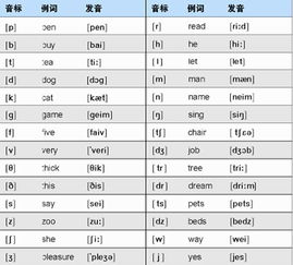 揭秘音节：定义与生动实例解析 2