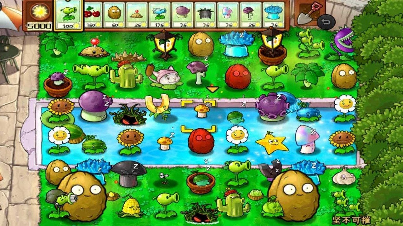 植物大战僵尸随机植物版 1
