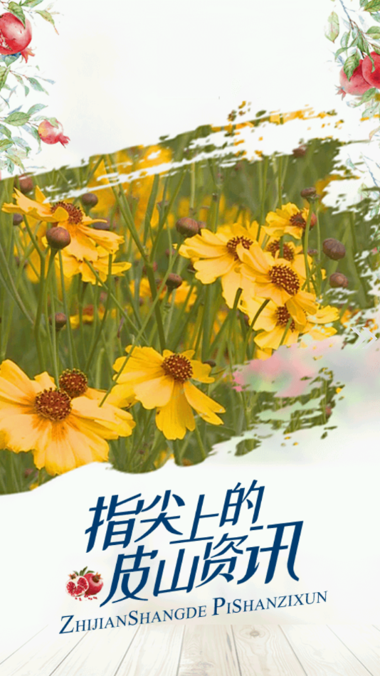 皮山好地方app 截图3