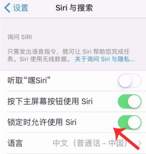 如何唤醒苹果13的Siri 3