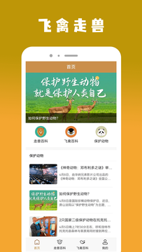 飞禽大全app 截图2