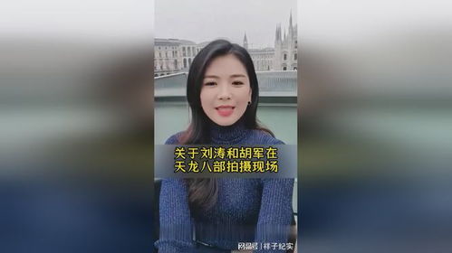 揭秘！刘涛胡军'咏鹅'梗背后的趣味故事，你绝对不知道的娱乐圈秘辛 2