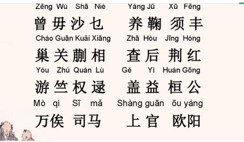 揭秘！百家姓中‘贠’字的正确读音，你读对了吗？ 2