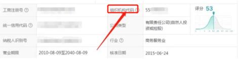 轻松掌握：如何查询公司组织机构代码 4