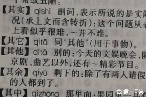 深度解析：'其他'与'其它'的微妙差异，你真的用对了吗？ 1