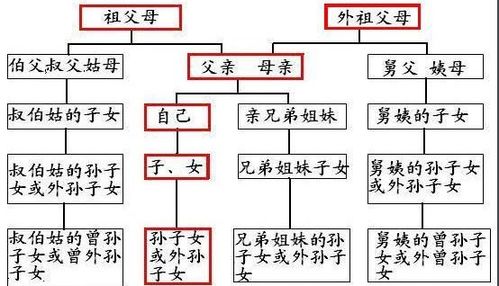 揭秘：表哥究竟属于哪种亲属关系？ 1