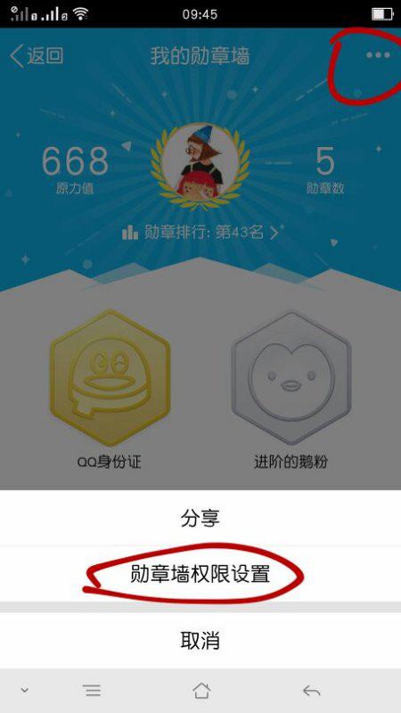 为什么我的手机QQ里没有勋章墙了？常见解决方法有哪些？ 3