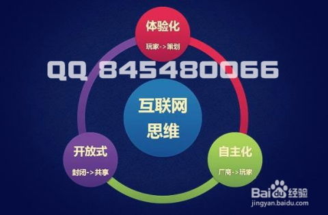 高效网络推广策略与方法概览 2