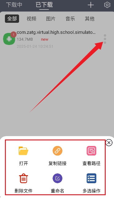 海马下载器 截图11
