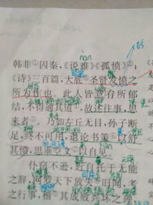 身残志坚的名人：他们是如何克服障碍走向成功的？ 1