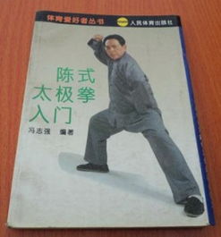陈氏太极拳：从零开始掌握武术精髓的入门指南 3