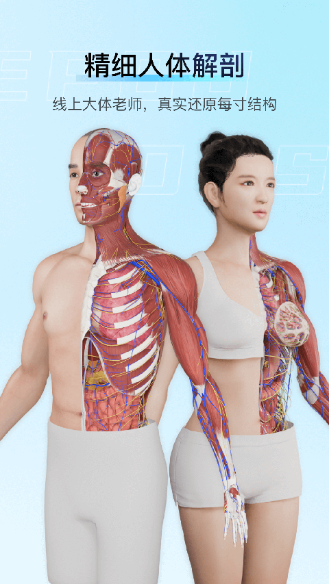 解剖大师安卓版 截图5