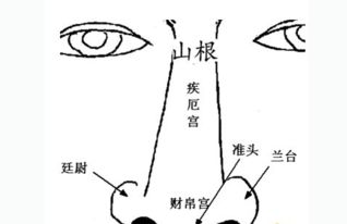 揭秘：山根究竟位于人体的哪个位置？ 3