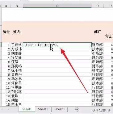 在Excel中正确录入身份证号码的方法 4