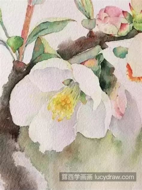 怎样生动描写梨花的外貌特征？ 2