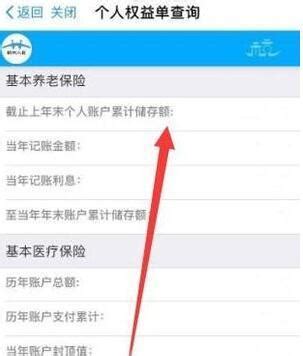 如何查询个人养老保险账户余额？ 4