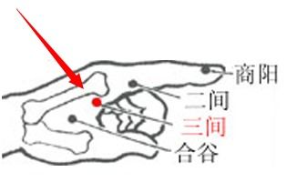 迎香穴位置图解及功效作用 2