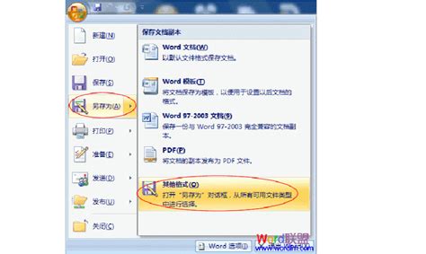 如何将Word 2007文档轻松转换为PDF格式？ 5