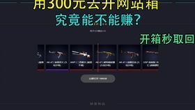 CSGO开箱网PiggyCase详细图文使用教程 4