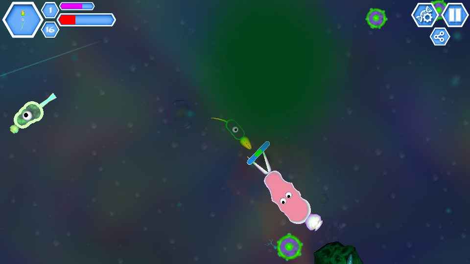 孢子生物进化 1