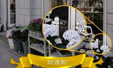 寻找猫：隐藏对象3手机版 截图2