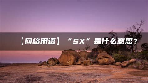 揭秘：网络流行语“sx”的真正含义是什么？ 5