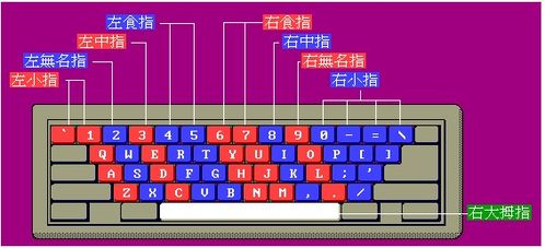 如何高效练习盲打技巧 2