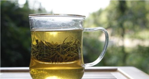 绿茶冲泡指南 2
