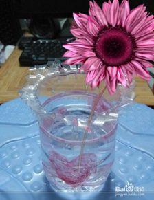 变废为宝：饮料瓶变身创意花瓶 1