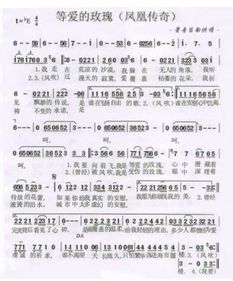 日语版《很爱很爱你》歌词赏析 2