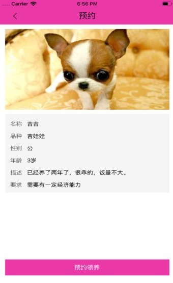 喔爱萌宠 截图2