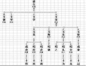 横版家谱世系图怎么画？快来学！ 1
