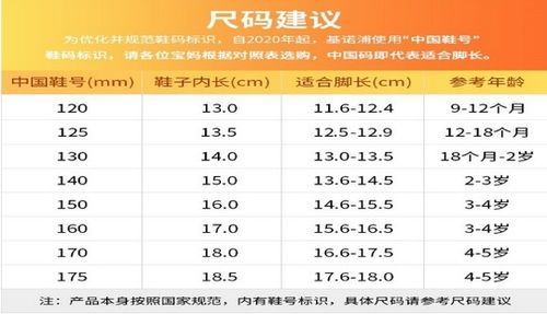 245(2.5)鞋码对应多少号 4