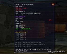 怀旧服中瑟银兄弟会声望尊敬后能购买哪些图纸？ 4