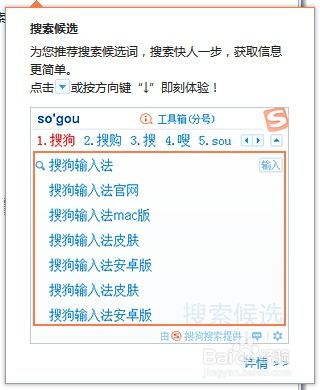 如何配置搜狗输入法以设置默认搜索引擎 4