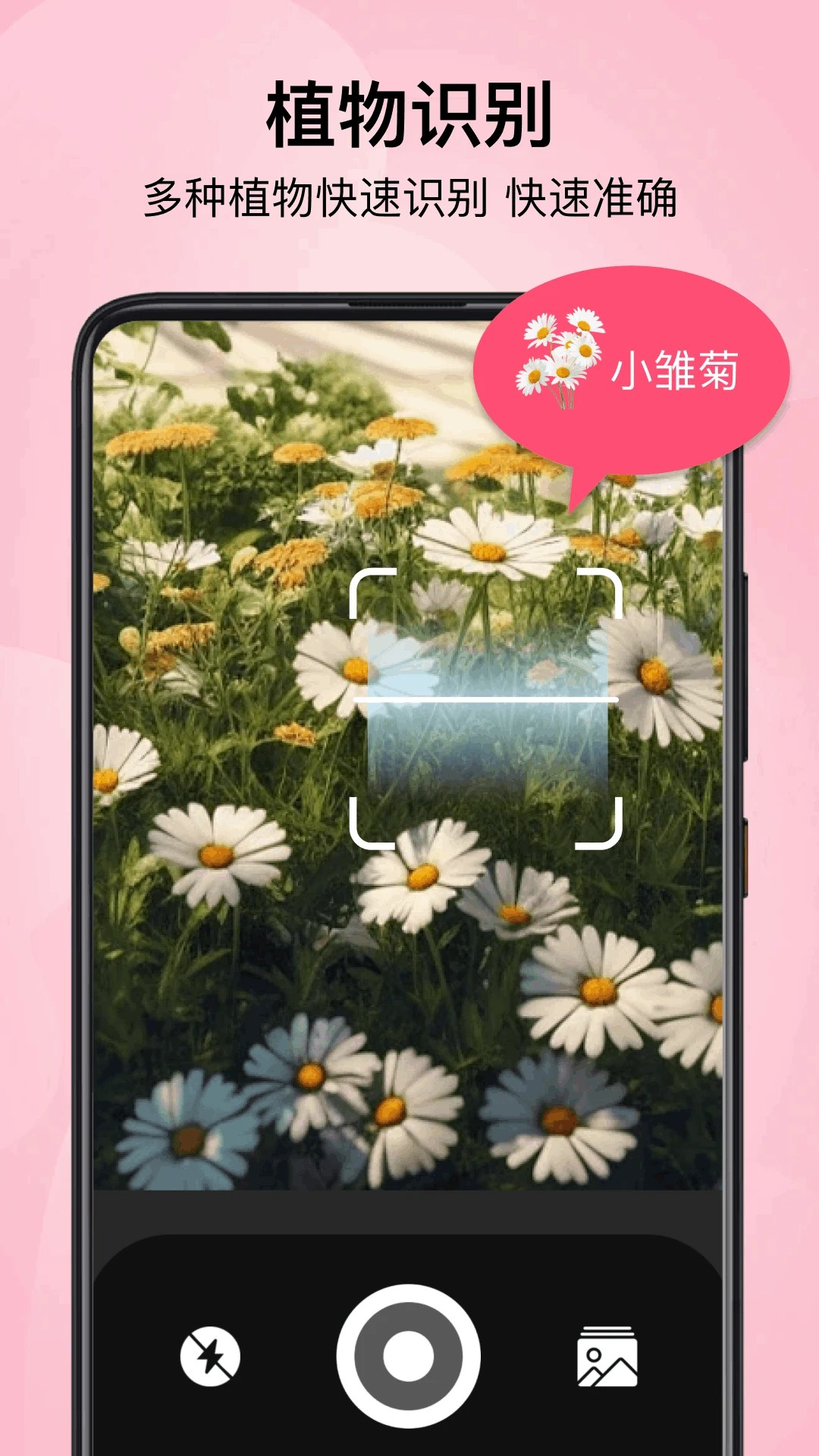 小园丁追剧2026最新版 截图3