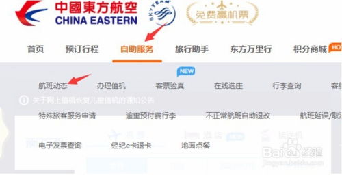 一键解锁！网上查询航班动态的超简单方法，你get了吗？ 3