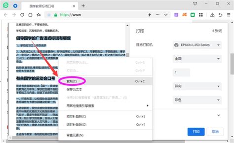 轻松解锁！网页内容无法复制的巧妙解决方法 2