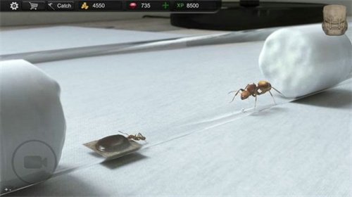 蚂蚁模拟大亨中文版 截图2
